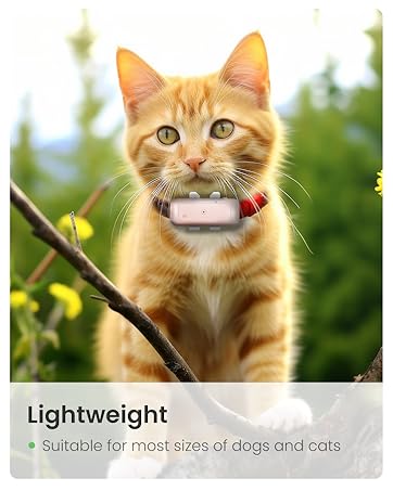 pet tracker for cats
