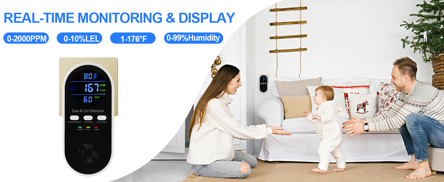 Natural gas detector and carbon monoxide detectors