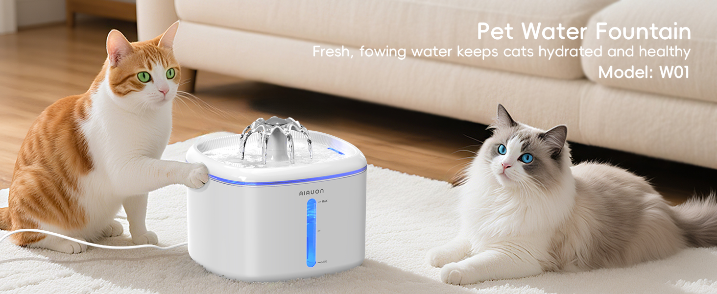 pet water fountain