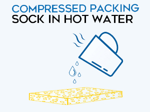 compressed sponge 
