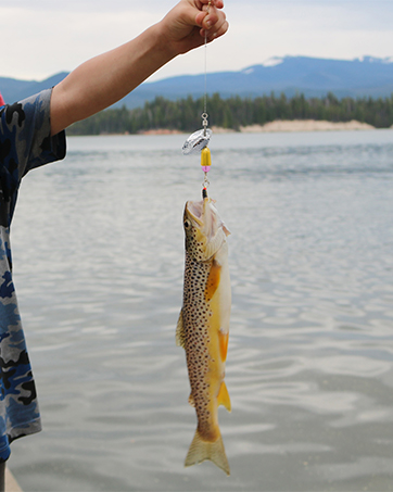 fishing lure