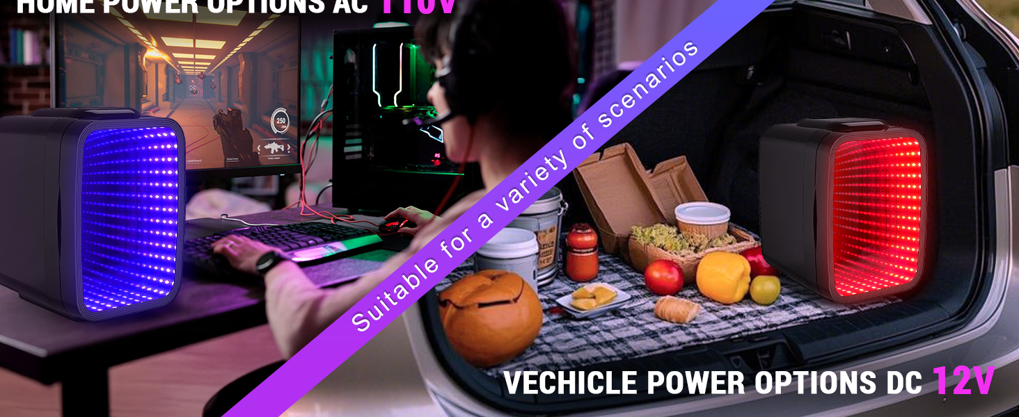 Mini Fridge Small Refrigerator Portable Thermoelectric Cooler and Warmer Fridge