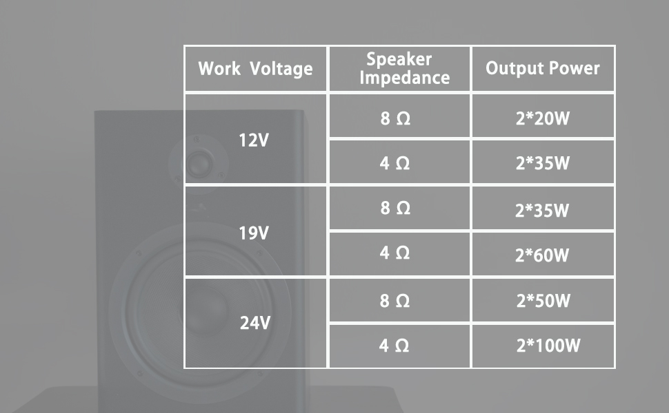 100W+100W Amplifier Board with Treble and Bass Control