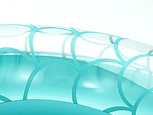 Inflatable Swimming Ring