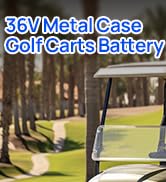 DC HOUSE 36V 100Ah Pro Metal Case Lithium Golf Cart Battery, LiFePO4 Battery with 36V 25A Charger...