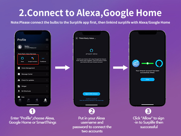 connect to alexa