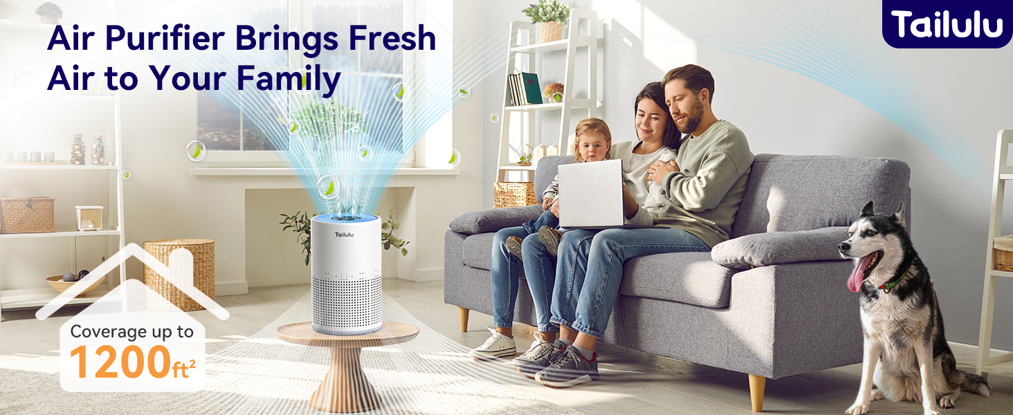 air purifier for dorm