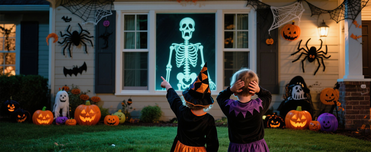 Holographic Rear Projection Screen