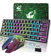 60% Mechanical Gaming Keyboard Mini 68 Keys Anti-Ghosting Wired Type C Chroma RGB 18 Backlit Effe...