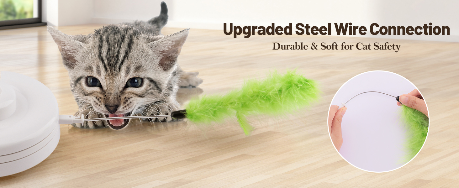 cat toys interactive