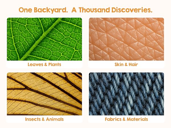 See the details of leafes, skin, insects and more