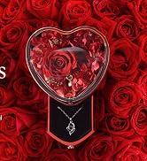 Red Rose4