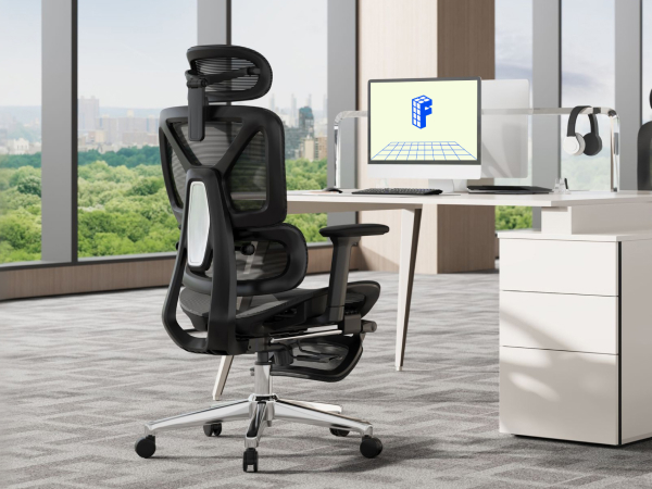 flexispot C7 Lite office chair
