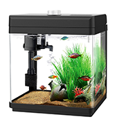 Small fish tank