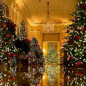 green extension cord outdoor