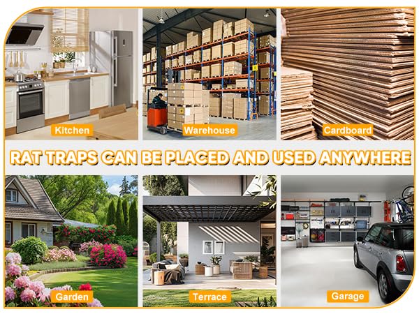 Reusable Mouse Trap, Suitable for Kitchen, Garage, Garden, Warehouse &amp;amp; More Indoor/Outdoor Use