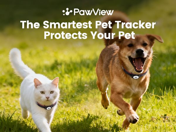 pet tracker
