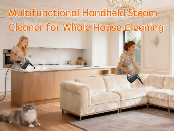 handheld steam cleaner with safety lock