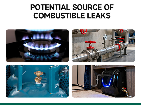 Natural Gas Leak Detector, Propane/Methane/Combustible Gas Detector, Home/RV Gas Leak Detector