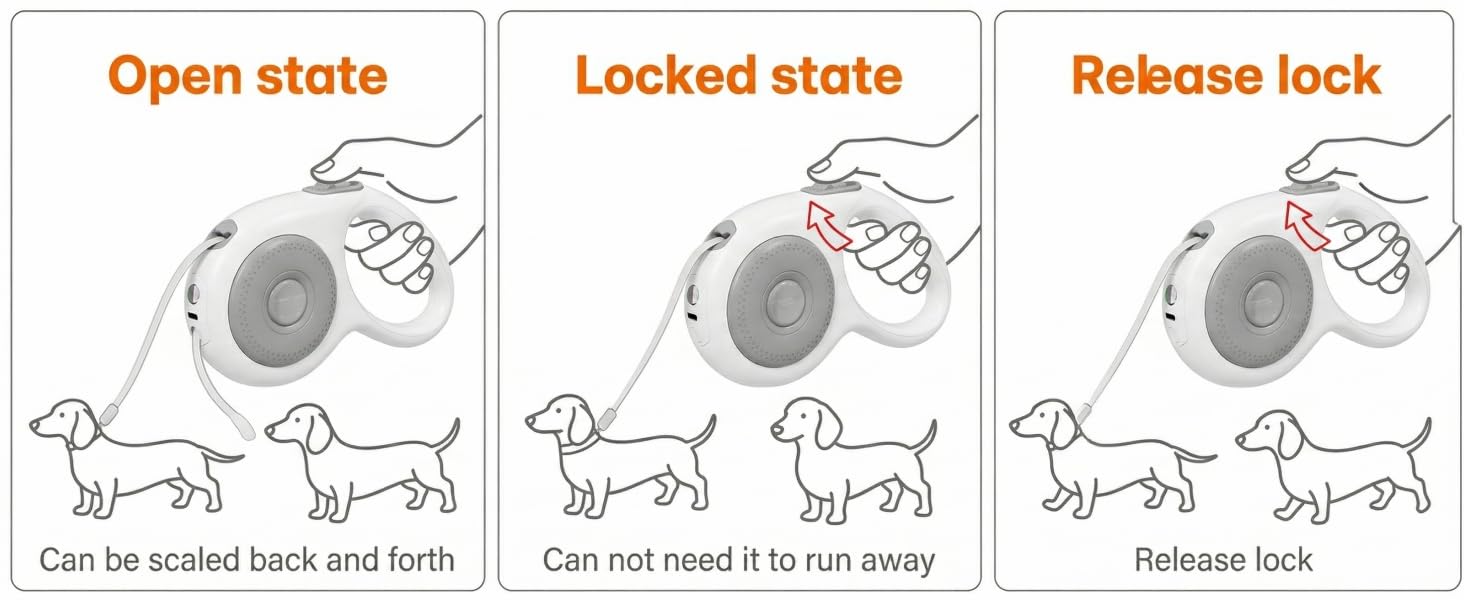dog leash for 2 dogs