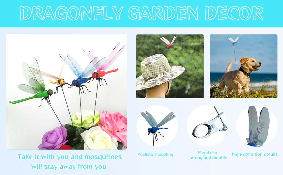 dragonfly clips