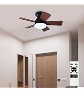 Depuley Modern Ceiling Fan with Light: 25-Inch Black Small Fans for Bedroom Indoor Outdoor - Dimm...
