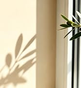 Milk Frother Wand for Coffee