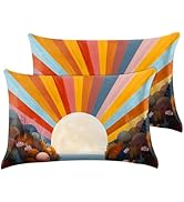 GABraden Microfiber Pillowcase 2PCS Set with Hidden Zipper,Soft and Comfortable Fabric Pillow Cas...