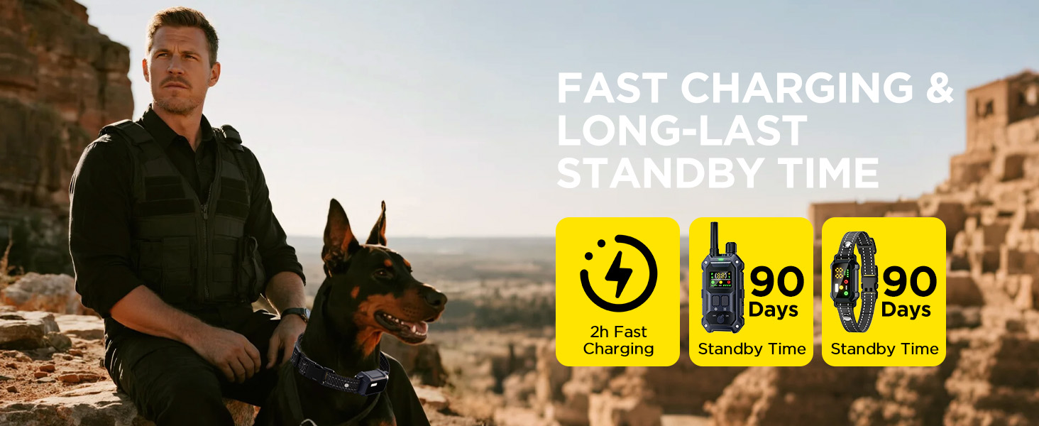 dog shock collar with remote