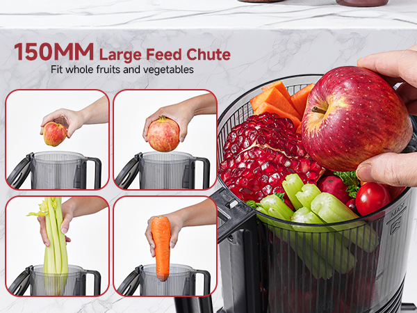 cold press juicer