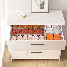 sock organizer