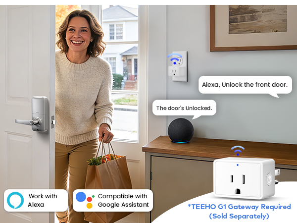 Voice control requires TEEHO G1 gateway