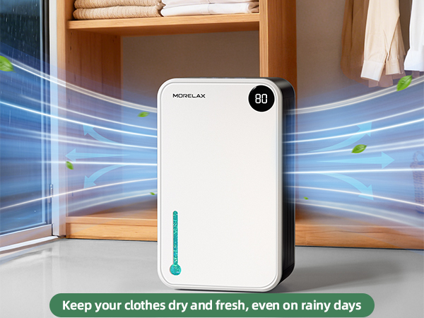 home Dehumidifier