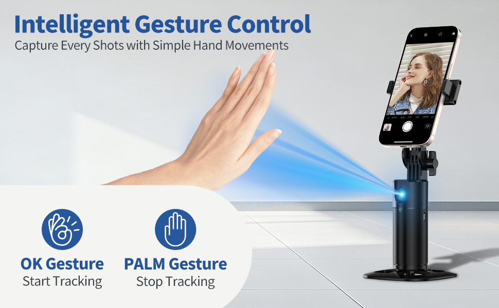 Gesture control