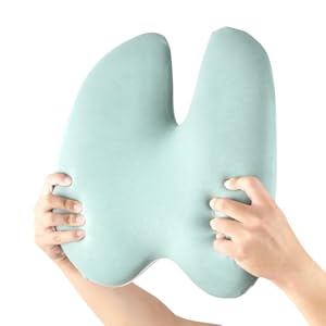 Cushion Lab Back Relief Lumbar Pillow - Wellness Green