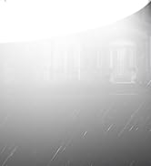 Viugreum 100W 12000LM LED Barn Light,Dusk to Dawn Outdoor Lighting, Garden Light Ip65 Waterproof ...