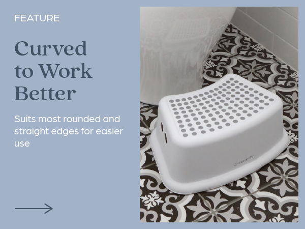 potty training seat