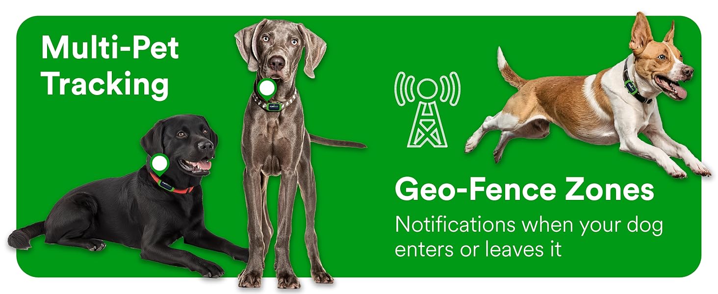 fits existing collar of big pets rechargeable li-ion battery includes sim card