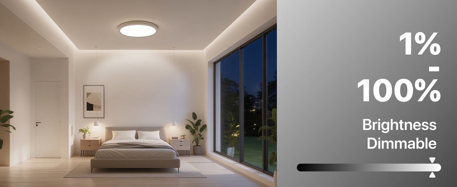 flush mount ceiling light 1