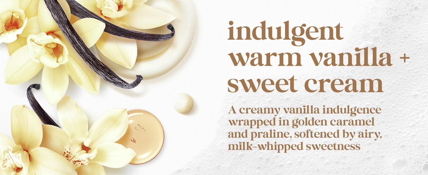 indulgent warm vanilla + sweet cream A creamy vanilla indulgence wrapped in golden caramel