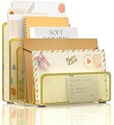 ReePlan Mail Organizer Countertop with 5 Slot, Metal Mail Holder for Desk, File Holder Letter Sor...