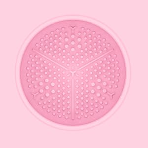 Wash Makeup Brush Cleaner