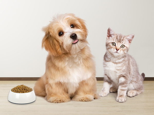 heavy duty kitchen scale