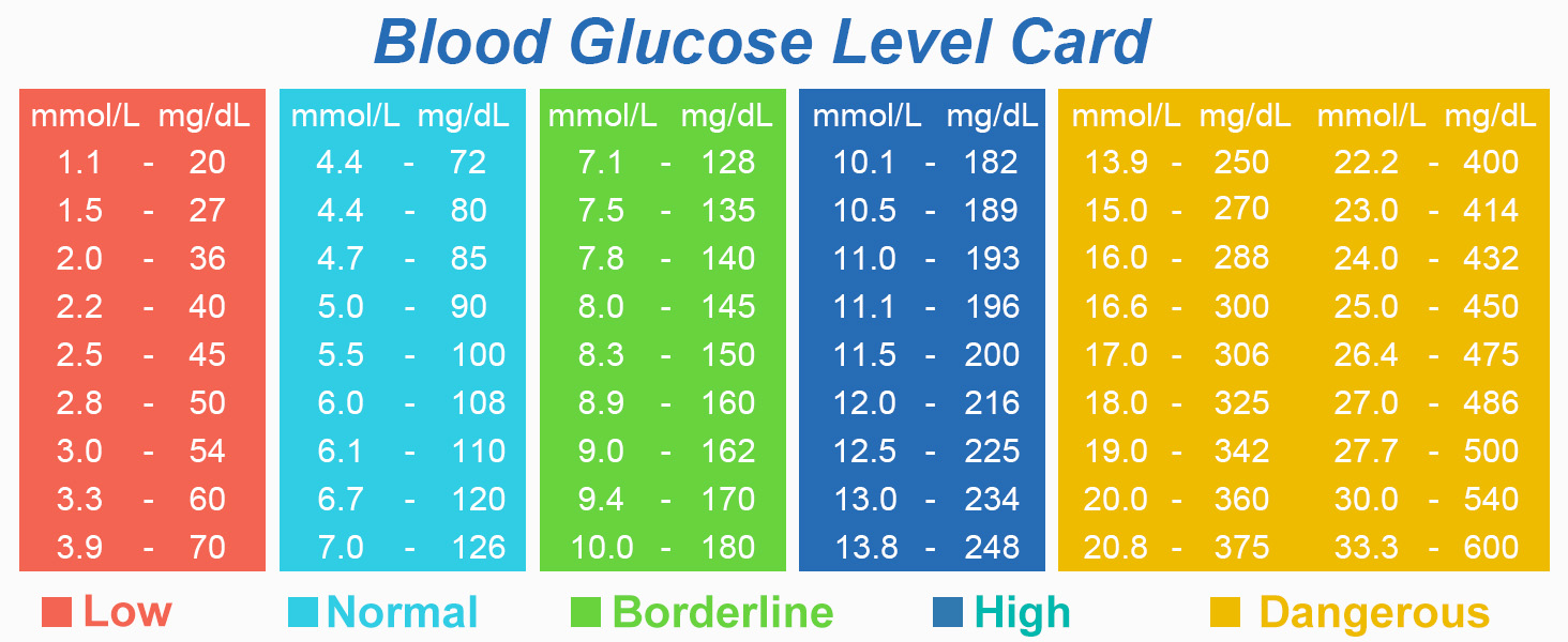 blood sugar testing kit