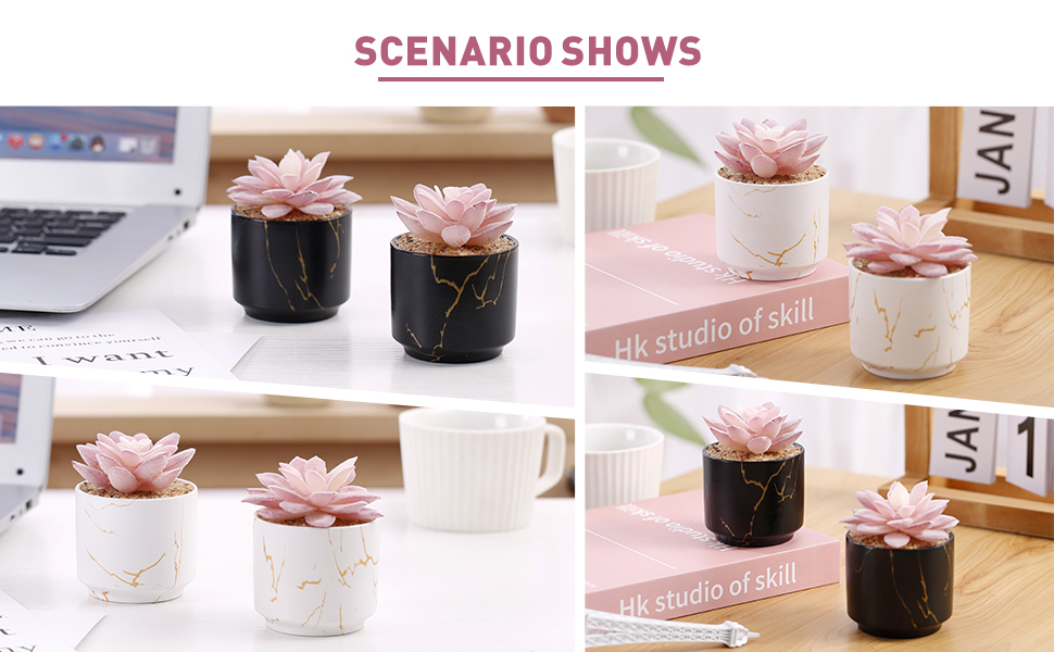 succulents plants artificial