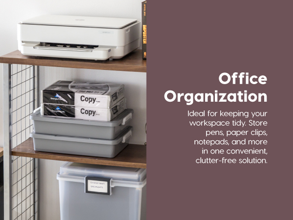 Office Organization