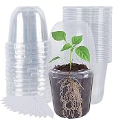 winemana 36 Set Nursery Pots with Humidity Dome, Clear Nursery Pots for Plants, Seed Starting Pot...