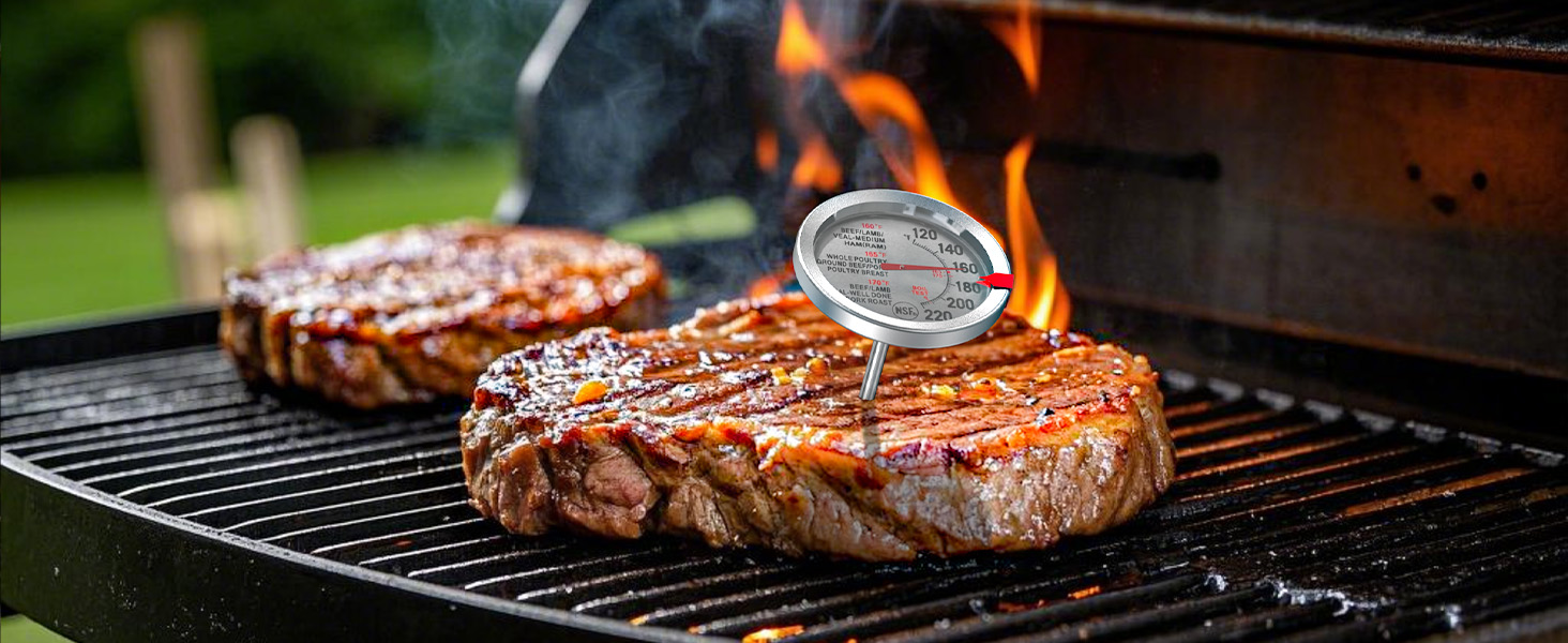 meat thermometer for grill