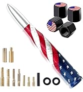 Car Truck Bullet Antenna with Valve Stem Caps for F150 F250 F350 Super Chevrolet Duty Raptor Dodg...