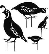 NUOBESTY 4pcs Metal Quail Garden Decorative Statues Standing Metal Quail Lawn Sculptures Ornament...